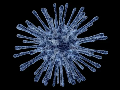 Hantavirus sulla nave da crociera: morti e paura contagio