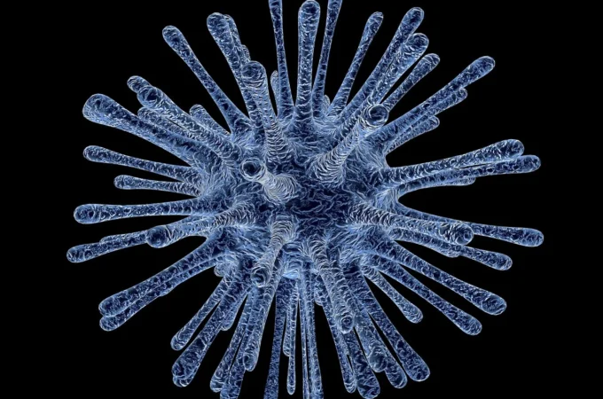 Hantavirus sulla nave da crociera: morti e paura contagio