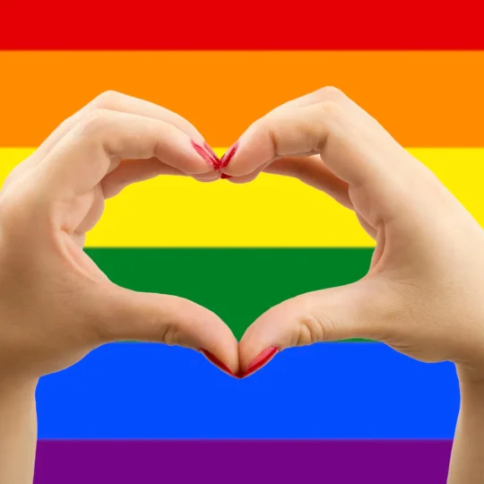 La Consulta apre alle coppie gay anche sulla pensione di reversibilità