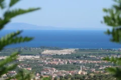 La Calabria investe nella biodiversità per trattenere i giovani talenti