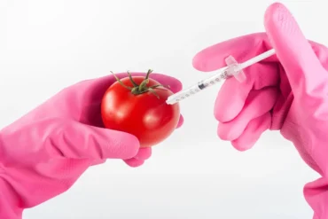 Nuovi OGM, per le associazioni dei consumatori serve chiarezza