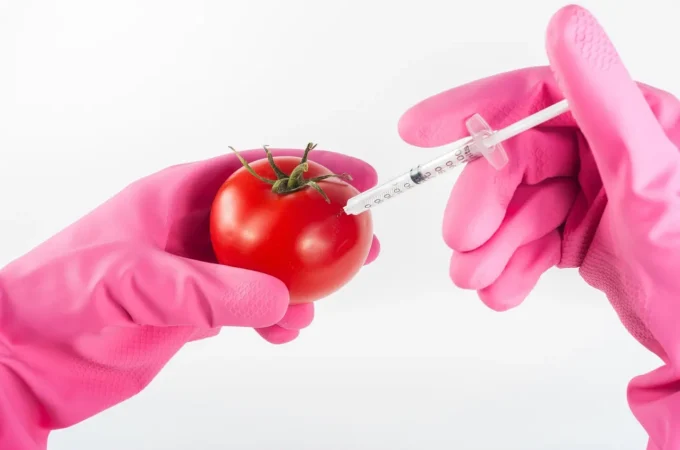 Nuovi OGM, per le associazioni dei consumatori serve chiarezza