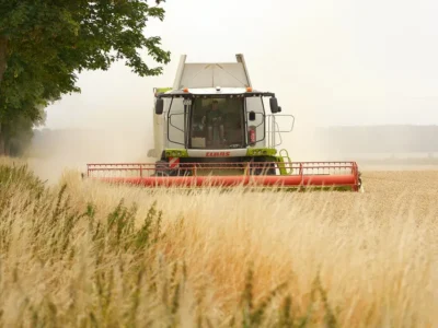 Terre agricole pubbliche in vendita: il nuovo bando Ismea