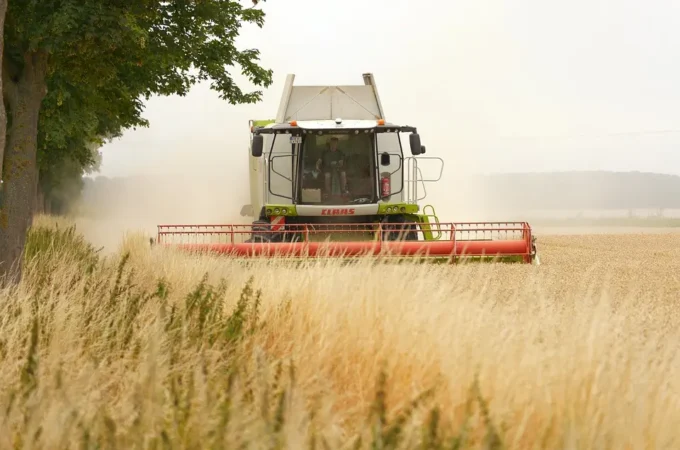 Terre agricole pubbliche in vendita: il nuovo bando Ismea