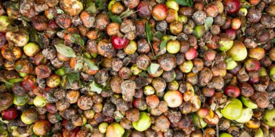 Rotta verso il 29 settembre, Giornata Internazionale di Consapevolezza delle Perdite e degli Sprechi Alimentari, promossa dall’ONU
