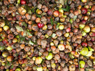 Rotta verso il 29 settembre, Giornata Internazionale di Consapevolezza delle Perdite e degli Sprechi Alimentari, promossa dall’ONU