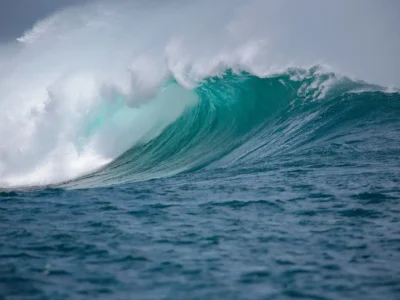 Onda anomala nel Pacifico, un record che svela un rischio globale